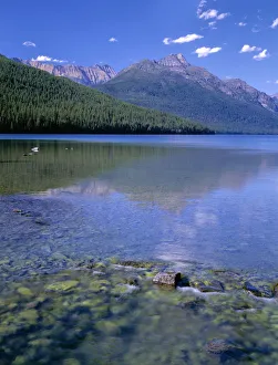 Lake reflecting rocky and forest covered mountains, Bowman Lake, Glacier National Park Lake reflecting rocky and forest covered mountains, Bowman Lake, Glacier National Park