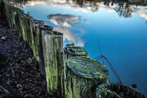 <b class=qtipBold><figcaption>Lakes edge</figcaption></b><br>The stillness of the reflection on lakes edge. Visible moss takes over the wooden pilings on the embankment. Perhaps the clouds suggest the threat of a storm.<br><em>© James Lesemann</em> Lakes edge
