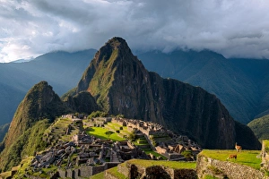 Lama enjoying sunset in Machu Picchu inca ruins Lama enjoying sunset in Machu Picchu inca ruins