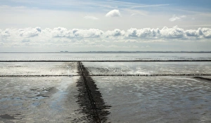 Land reclamation on the North Sea by groynes and fascines, North Frisia Land reclamation on the North Sea by groynes and fascines, North Frisia