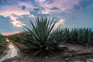 Mexico Heritage Sites Gallery: 