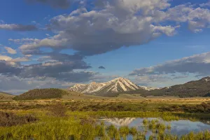 Landscape with herd of pronghorn antelope(Antilocapra americana Landscape with herd of pronghorn antelope(Antilocapra americana