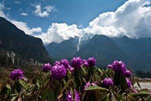 Landscape of Lachung area, North Sikkim, India Landscape of Lachung area, North Sikkim, India