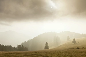 Landscape in the mist, Belchen, Black Forest, Baden-Wurttemberg, Germany Landscape in the mist, Belchen, Black Forest, Baden-Wurttemberg, Germany
