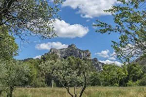 Landscape with mountain and olive trees (Olea europaea), St. Remy, Provence, France Landscape with mountain and olive trees (Olea europaea), St. Remy, Provence, France
