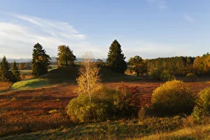 Landscape near the Osterseen lakes near Iffeldorf in the early morning, in autumn Landscape near the Osterseen lakes near Iffeldorf in the early morning, in autumn