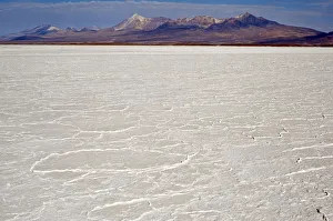 Landscape of Salar de Coipasa, Coipasa, Bolivia Landscape of Salar de Coipasa, Coipasa, Bolivia