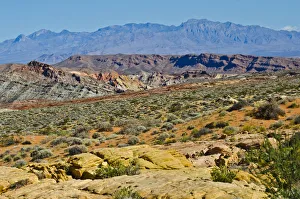 Landscape seen from Mouse Tank Road looking north, Valley of Fire State Park, Nevada, USA Landscape seen from Mouse Tank Road looking north, Valley of Fire State Park, Nevada, USA