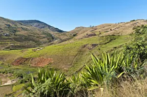 Landscape, steep terraced rice fields paddies of the Betsileo people, rocky mountains Landscape, steep terraced rice fields paddies of the Betsileo people, rocky mountains