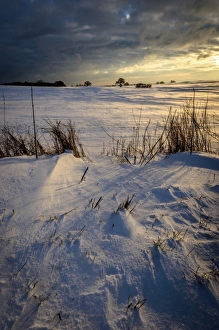 Landscape at sunrise in winter, Schleswig-Holstein, Germany Landscape at sunrise in winter, Schleswig-Holstein, Germany