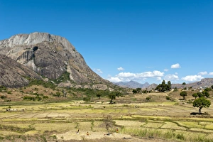 Landscape, terraced rice paddies of the Betsileo people with a large rocky mountain Landscape, terraced rice paddies of the Betsileo people with a large rocky mountain
