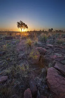 Landscape of a tree on a hill with rocks and clouds at sunset - Ezemvelo South Africa Landscape of a tree on a hill with rocks and clouds at sunset - Ezemvelo South Africa
