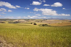 Landscape View of Farmland with Mountains in Background Landscape View of Farmland with Mountains in Background