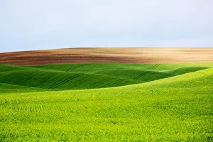 Landscape with wheat and fallow fields of Palouse region, Washington State, USA Landscape with wheat and fallow fields of Palouse region, Washington State, USA