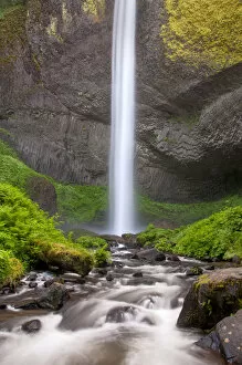 Images Dated 25th May 2013: LaTourelle Falls, Columbia River Gorge