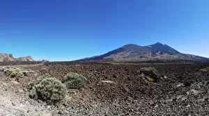 Lava field, Mt Teide volcano at back, Teide National Park, UNESCO World Heritage Site Lava field, Mt Teide volcano at back, Teide National Park, UNESCO World Heritage Site