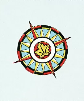 Images Dated 1st October 2003: Leaf compass