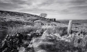 West Yorkshire Prints: Top Withens Print: Brontë Moors Landscape with Lone Tree