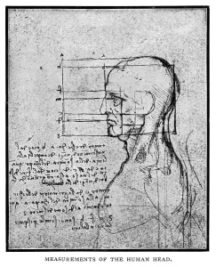 Leonardo Da Vinci Prints: Leonardo Da Vinci - Measurements of the Human Head Print 1898 Engraving