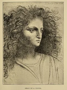Leonardo Da Vinci Prints: Early Renaissance Print, Head of a Youth