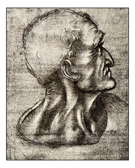Leonardo's sketches and drawings: The last supper, Judas Leonardo's sketches and drawings: The last supper, Judas