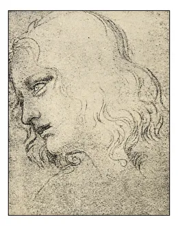 Leonardo's sketches and drawings: The last supper, St Philip Leonardo's sketches and drawings: The last supper, St Philip