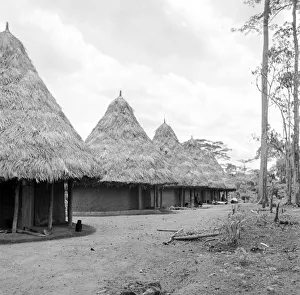 Related Images Gallery: Liberian Village