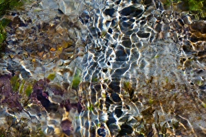 Light and shadow on ripples in shallows. The Sol Duc River, Olympic National Park, USA Light and shadow on ripples in shallows. The Sol Duc River, Olympic National Park, USA