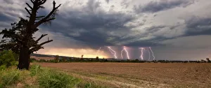 Lightning Thunderstorm at Sunset with Multiple Forked Lightning Strikes, Magaliesburg Lightning Thunderstorm at Sunset with Multiple Forked Lightning Strikes, Magaliesburg