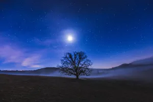 <b class=qtipBold><figcaption>Living in a Dream</figcaption></b><br>Living in a Dream, an image shot at the Blue Ridge Parkway. It features rolling fog illuminated by the moon, a shooting star, and the milky way rising above the mountains.<br><em>© ROBERT LOE</em> Living in a Dream