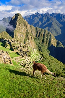 Inca Trail, Machu Picchu, Peru