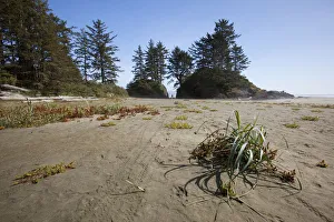 Long Beach In Pacific Rim National Park Near Tofino; British Columbia Canada Long Beach In Pacific Rim National Park Near Tofino; British Columbia Canada