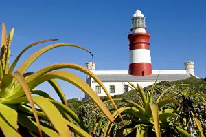 A Low Angle of a Light House with Aloes in the Foreground A Low Angle of a Light House with Aloes in the Foreground