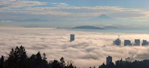Low Fog Bank Over Portland Oregon Cityscape Low Fog Bank Over Portland Oregon Cityscape