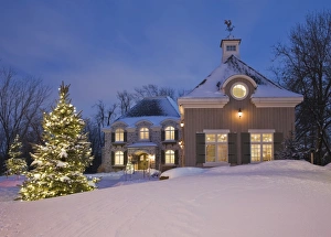 Luxurious residential cottage style home with illuminated evergreen trees at dusk in Luxurious residential cottage style home with illuminated evergreen trees at dusk in