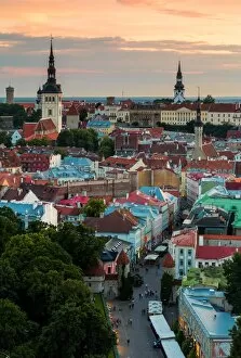 Magical Tallinn