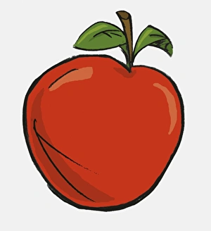 Malus pumila, ripe red apple with stalk and two leaves on top Malus pumila, ripe red apple with stalk and two leaves on top