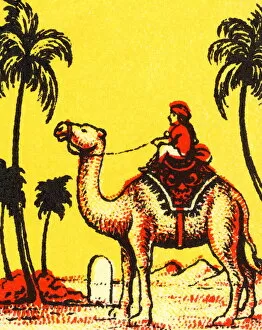Images Dated 5th November 2012: Man Riding a Camel