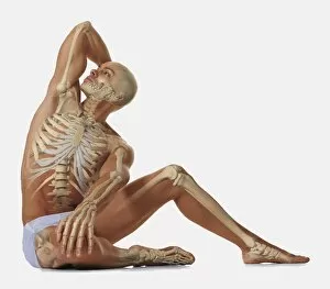 Scapula Gallery: Man sitting on floor with one hand behind head, other hand on his knee, looking up