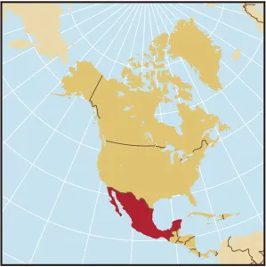 Fine Art Storehouse 2010 Print of Mexico Reference Map