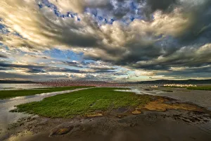 Masses of Flamingoes Take to flight in this Wide Angle Landscape Photo of Lake Nakuru, Kenya Masses of Flamingoes Take to flight in this Wide Angle Landscape Photo of Lake Nakuru, Kenya