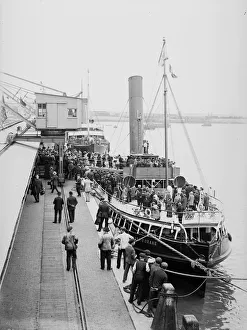 Affectionate Gallery: Mauretania Tender