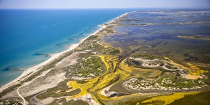Mediterranean coast, brackish water area of ??the Etang de Melegal, Le Grau-du-Roi, Camargue, Languedoc-Roussillon Mediterranean coast, brackish water area of ??the Etang de Melegal, Le Grau-du-Roi, Camargue, Languedoc-Roussillon