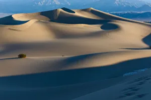 <b class=qtipBold><figcaption>Mesquite Flat Sand Dunes at sunrise</figcaption></b><br>Mesquite Flat Sand Dunes at sunrise in Death Valley National Park.<br><em>© © 2013 Michael L. Baird</em> Mesquite Flat Sand Dunes at sunrise