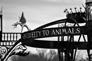 Metal Sculpture to the RSPCA, Richmond Metal Sculpture to the RSPCA, Richmond