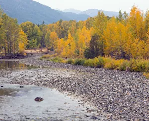 Methow River in Methow Valley in autumn, Okanogan National Forest, Washington State, USA Methow River in Methow Valley in autumn, Okanogan National Forest, Washington State, USA