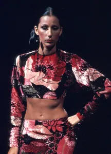 Famous Female Singers Prints: Cher Performing