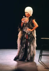 Famous Female Singers Prints: Cher Performing