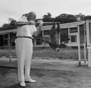 Vintage Animal Photos Prints: Panama City, Panama