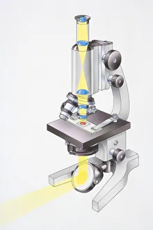 Microscope, light passing through lenses and focusing on glass slide, light also reflecting from mirror onto underside Microscope, light passing through lenses and focusing on glass slide, light also reflecting from mirror onto underside